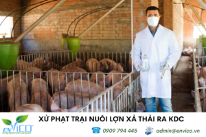 Xu phat trai chan nuoi lon xa thai ra moi truong