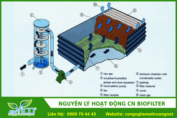 Nguyen ly hoat dong cua biofilter 