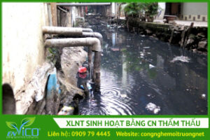 Xu ly nuoc thai sinh hoat bang cong nghe tham thau
