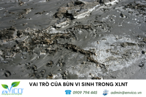 Vai tro cua bun vi sinh trong xu ly nuoc thai