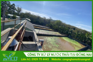 Cong ty xu ly nuoc thai tai dong nai