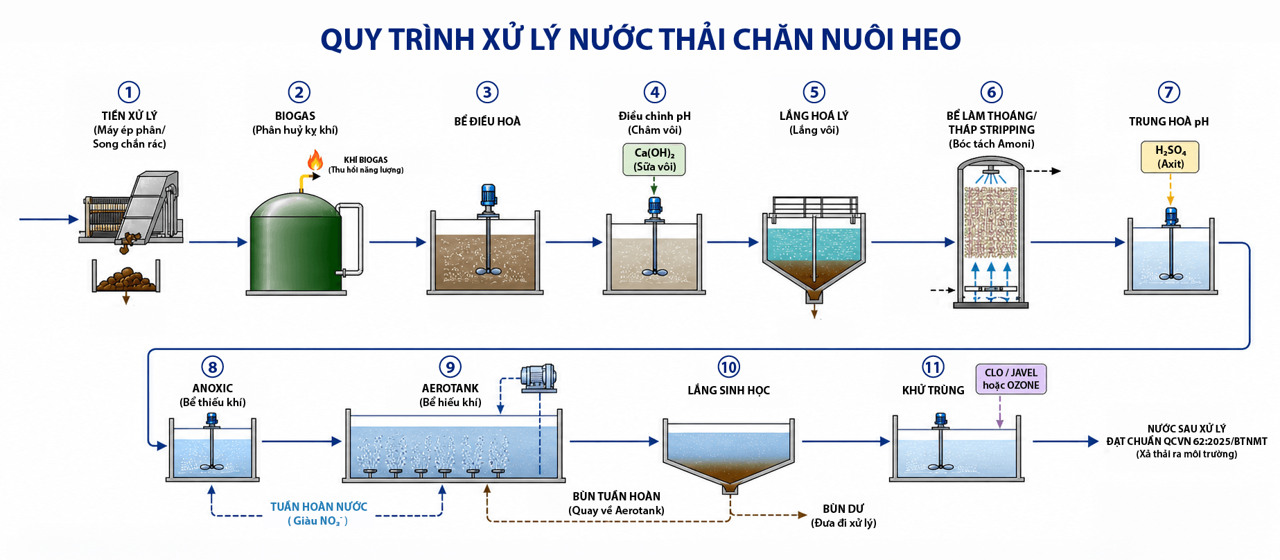 quy-trinh-xu-ly-nuoc-thai-chan-nuoi-heo