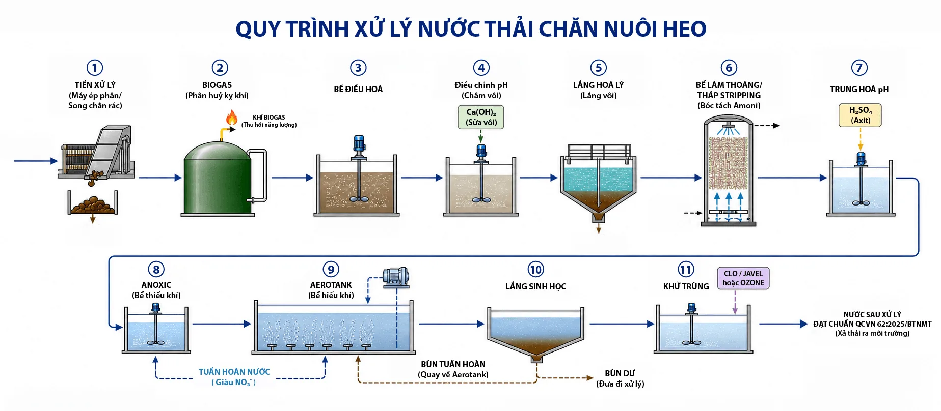 quy-trinh-xu-ly-nuoc-thai-chan-nuoi-heo