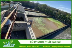 xu ly nuoc thai cao su