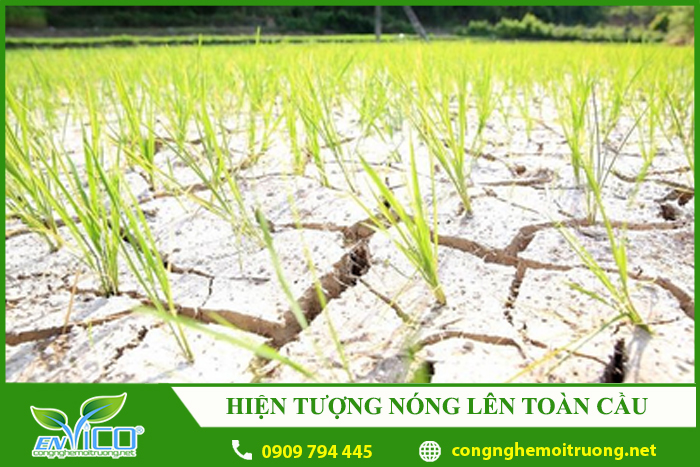 hien tuong nong len toan cau 1