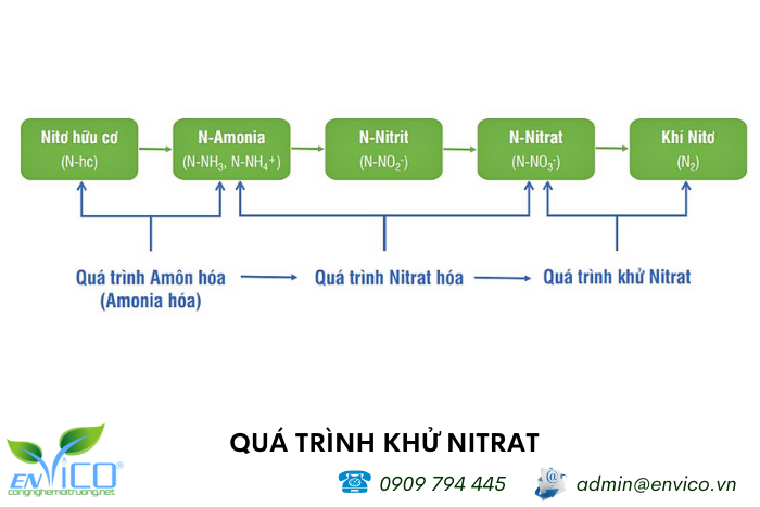 qua trinh khu nitrat envico 1
