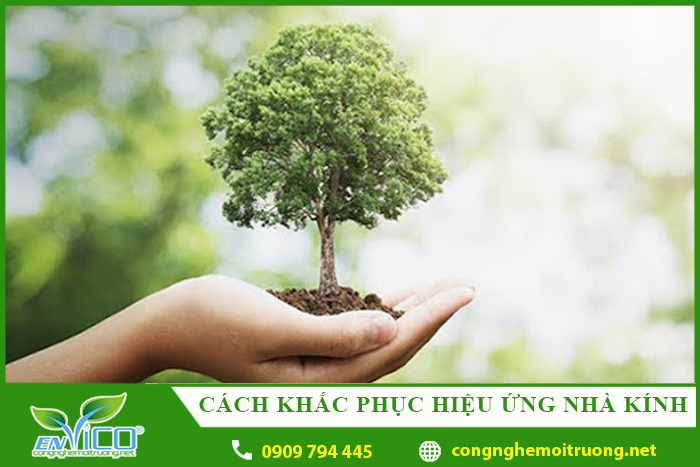 cach khac phuc hieu ung nha kinh envico