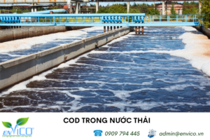 cod trong nuoc thai la gi 1