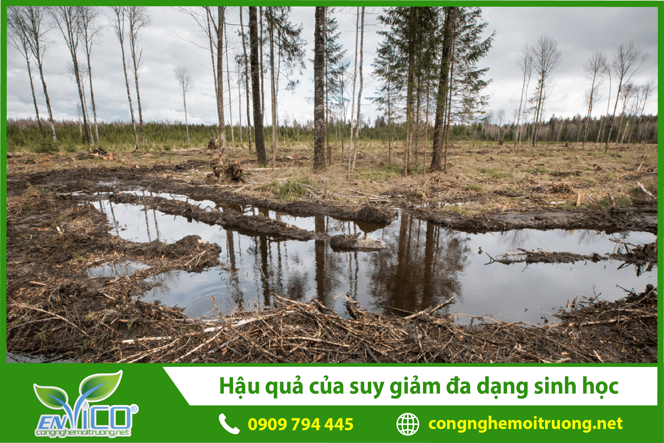 hau-qua-cua-suy-giam-da-dang-sinh-hoc