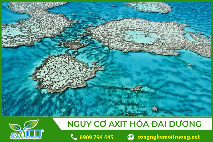 Nguy cơ đại dương bị axit hóa do các hóa chất được sử dụng trong quá trình gây mưa nhân tạo