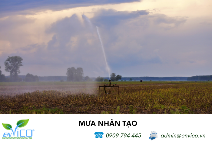 mua nhan tao nhu the nao 1