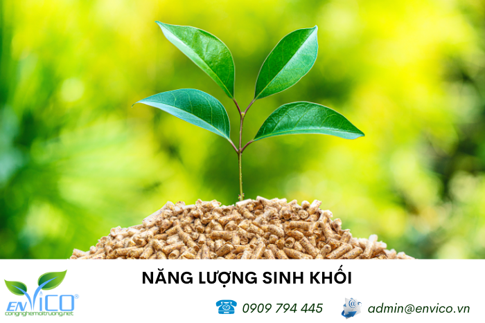 Năng lượng sinh khối là nguồn năng lược sạch, có thể phục hồi 