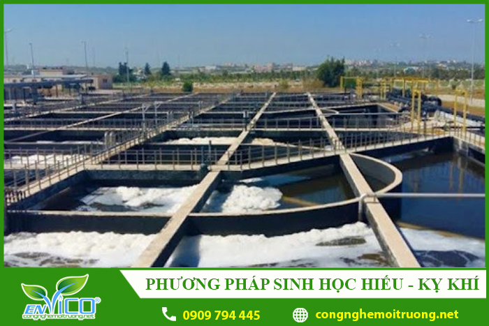 phuong phap sinh hoc hieu ky khi envico