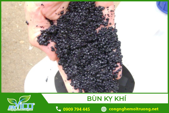 Bùn vi sinh được sử dụng trong quá trình kỵ khí