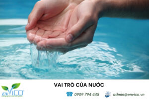 Nước là môi trường sống cho các loại sinh vật sống dưới nước