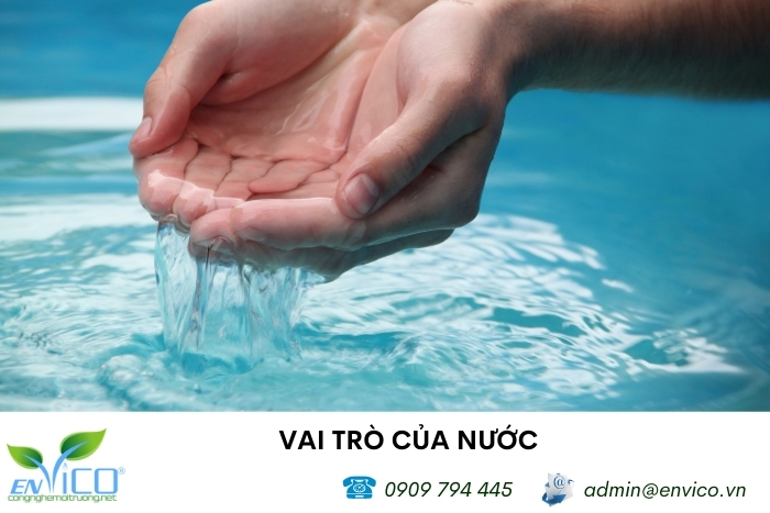 Nước là môi trường sống cho các loại sinh vật sống dưới nước