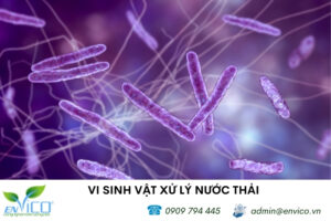 Phương pháp xử lý nước thải bằng vi sinh vật hiện đang rất được ưu chuộn