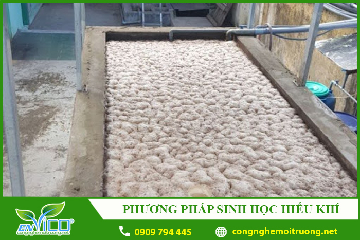 xu ly nuoc thai bang phuong phap sinh hoc hieu khi envico
