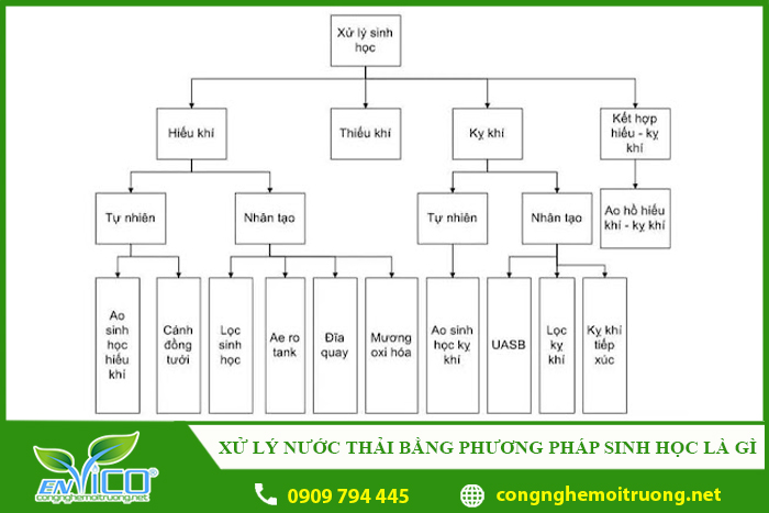 xu ly nuoc thai bang phuong phap sinh hoc la gi