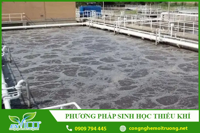 xu ly nuoc thai bang phuong phap sinh hoc thieu khi envico