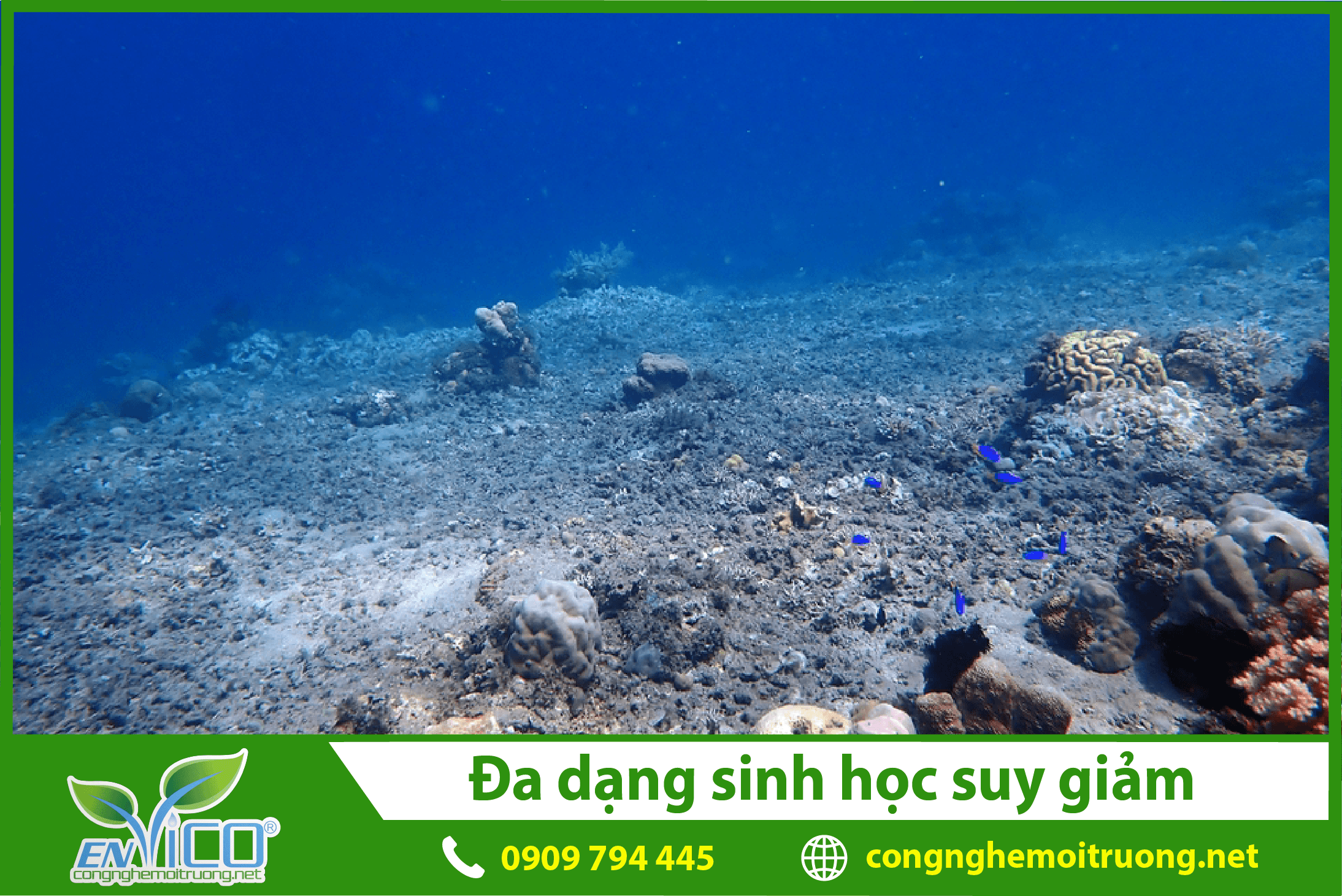 da-dang-sinh-hoc-suy-giam