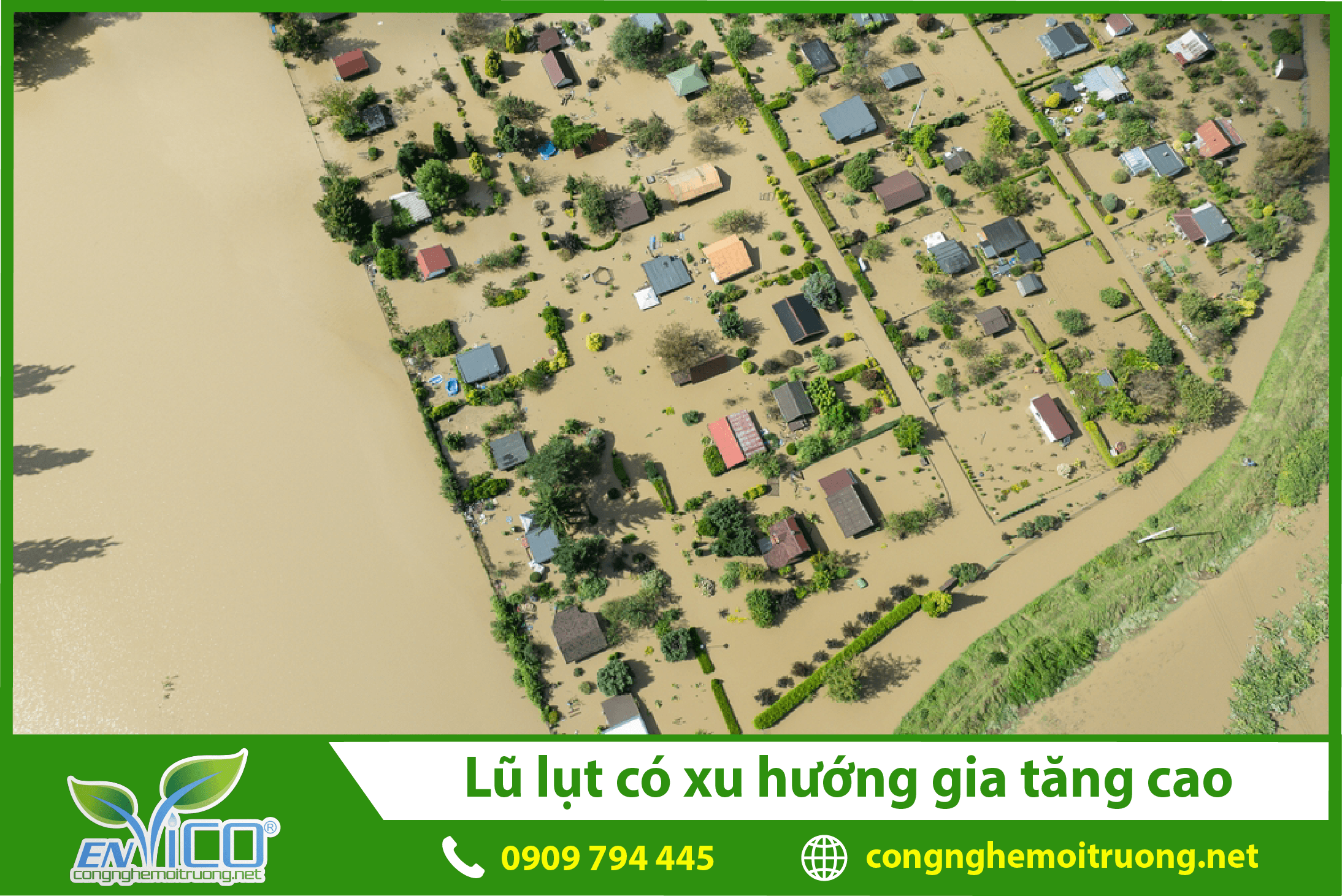 lu-lut-co-xu-huong-gia-tang