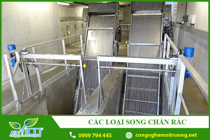 cac loai song chan rac hien nay 1