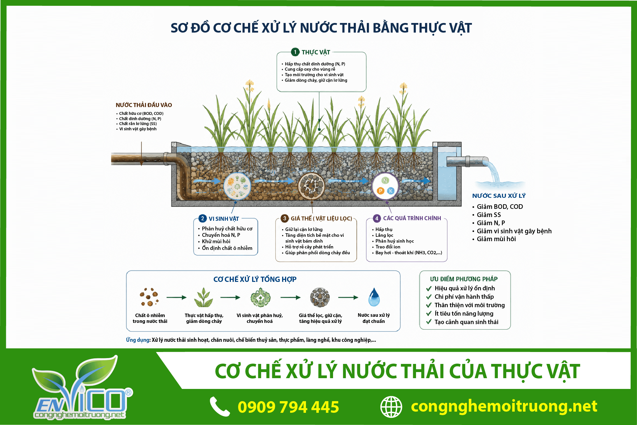 co-che-xu-ly-nuoc-thai-bang-thuc-vat