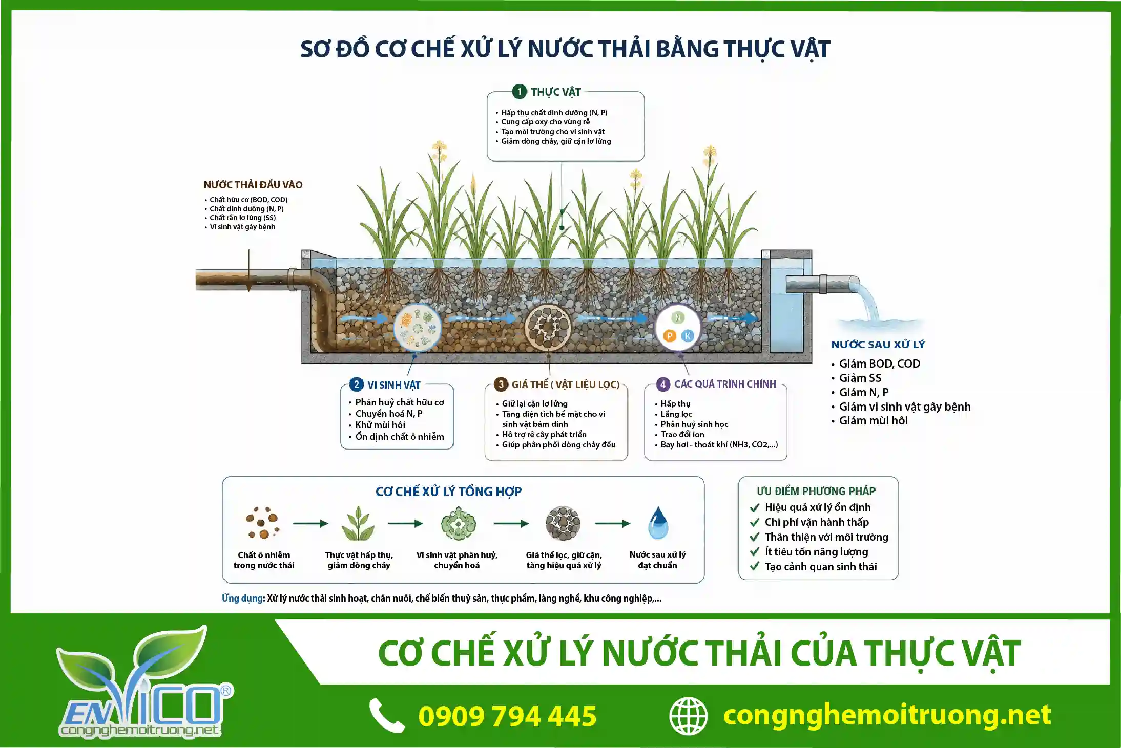 co-che-xu-ly-nuoc-thai-bang-thuc-vat
