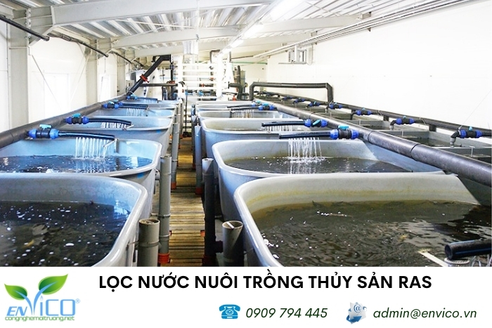 Hệ thống lọc nước tuần hoàn trong nuôi trồng thủy sản