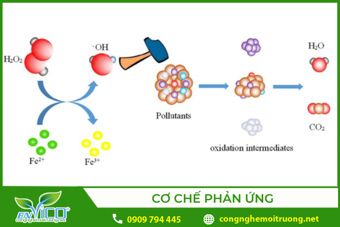Cơ chế phản ứng của quá trình Fenton