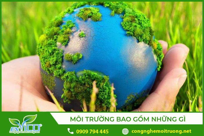 Môi trường bao gồm những gì ? 