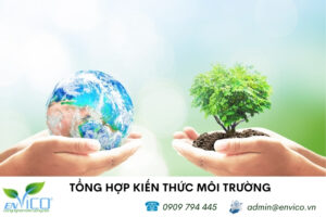 Kiến thức về môi trường