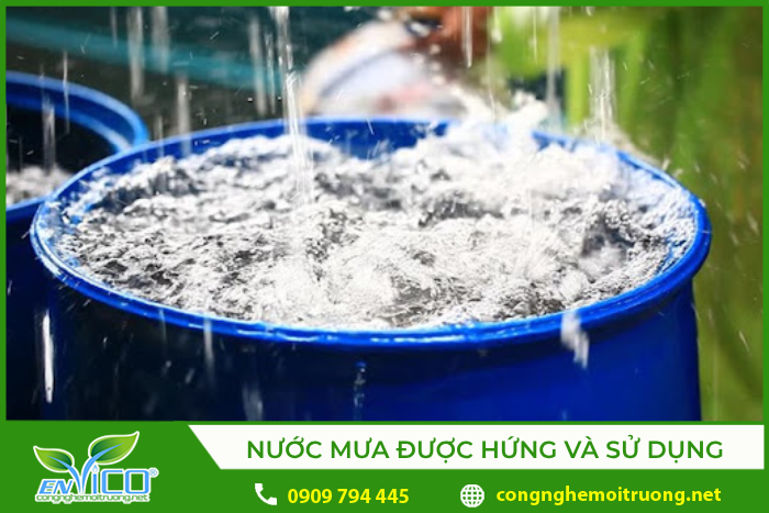 Nước mưa được hứng và sử dụng trong sinh hoạt, ăn uống