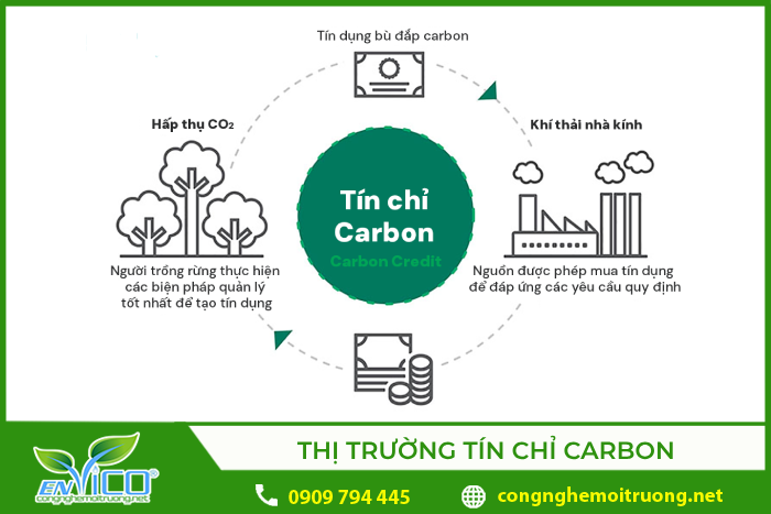 Cách thị trường tín chỉ hoạt động