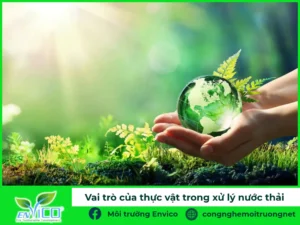Vai trò của thực vật trong xử lý nước thải
