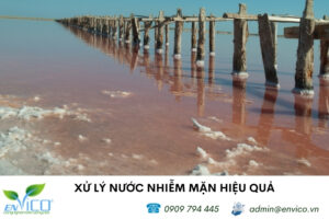 xử lý nước nhiễm mặn