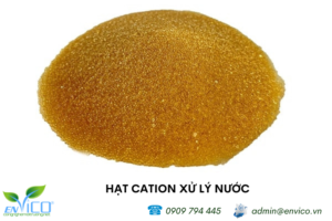 Hạt Cation là hạt ion điện tích dương