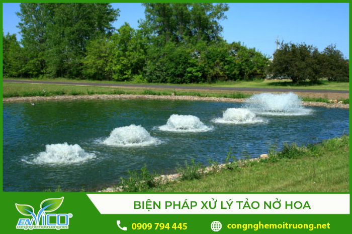 Xử lý tảo nở hoa bằng phương pháp sục khí