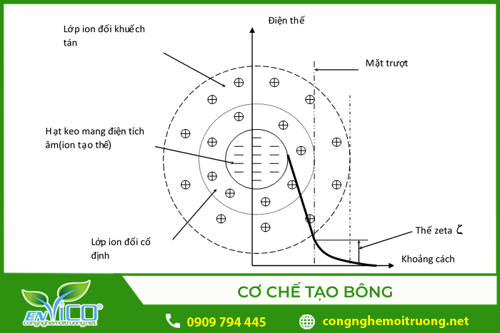 Cơ chế tạo bông của quá trình keo tụ