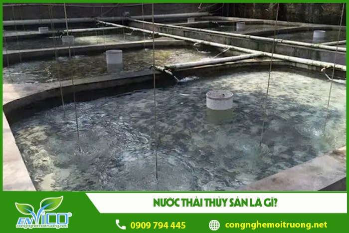 nước thải thủy sản là gì 1