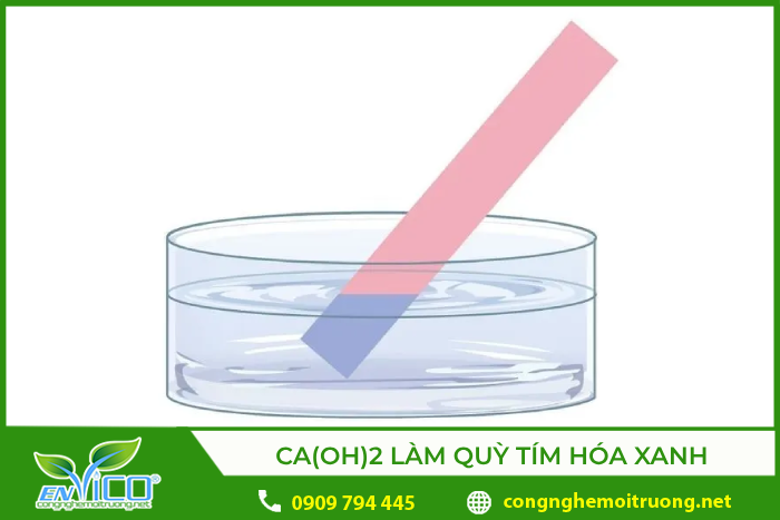 Ca(OH)2 là bazo làm quỳ tím chuyển màu xanh