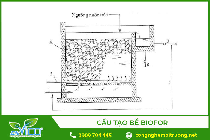Sơ đồ cấu tạo bể Biofor