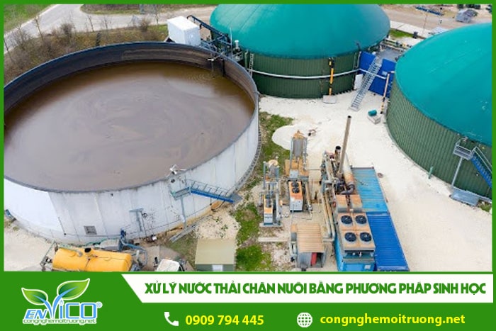 xu ly nuoc thai chan nuoi bang phuong phap sinh hoc