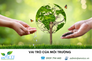 Môi trường là gì ?