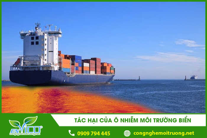 tac hai cua o nhiem moi truong bien 1