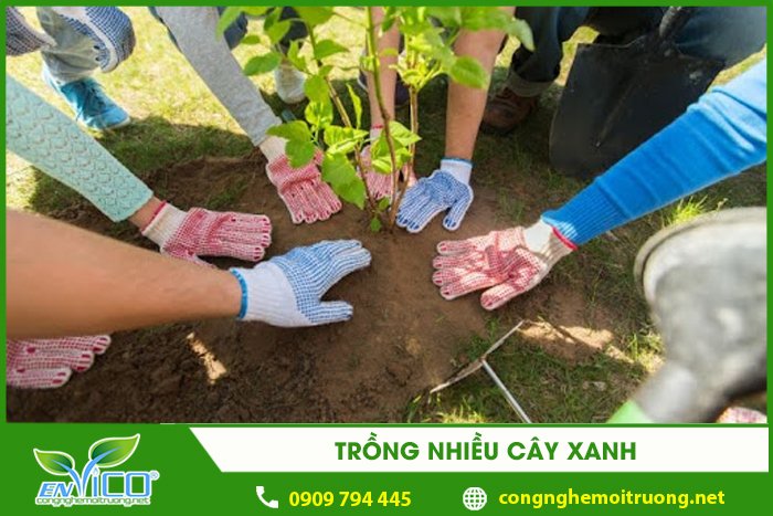 trong nhieu cay xanh 1