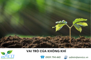 vai tro cua khong khi 1