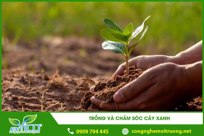trong va cham soc cay xanh 1