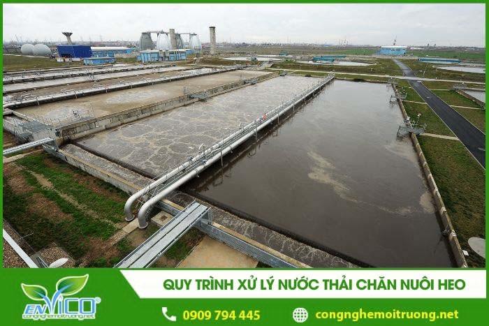quy trinh xu ly nuoc thai chan nuoi heo 1